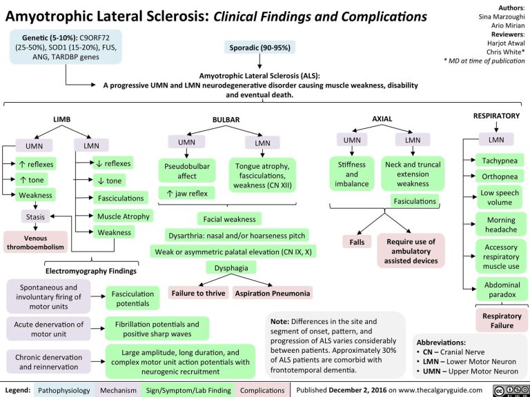 Amyotrophic lateral sclerosis, causes,symptoms, diagnosis, treatment ...