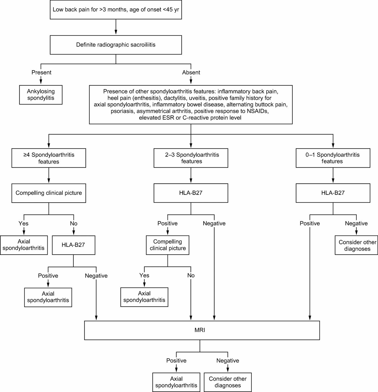 seronegative spondyloarthritis diagnostic algorithm