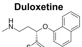 duloxetine