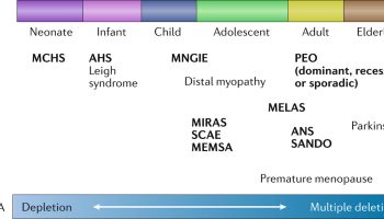 POLG related disorders
